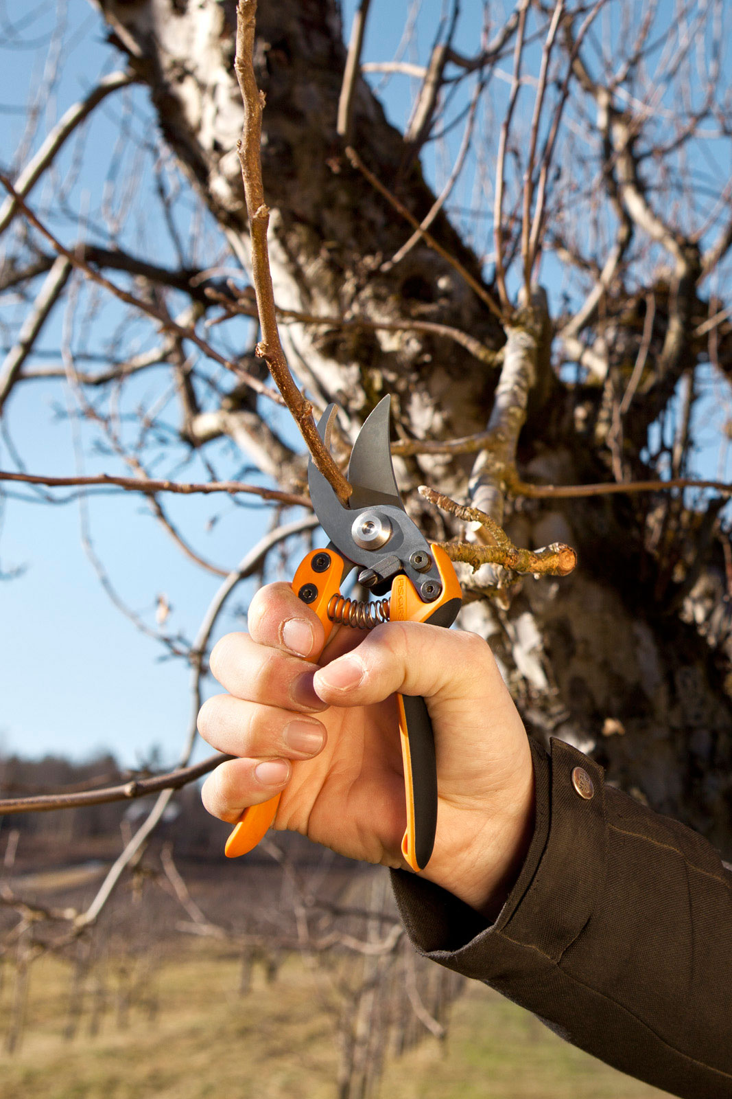 Fiskars-Pro-Portraits-09