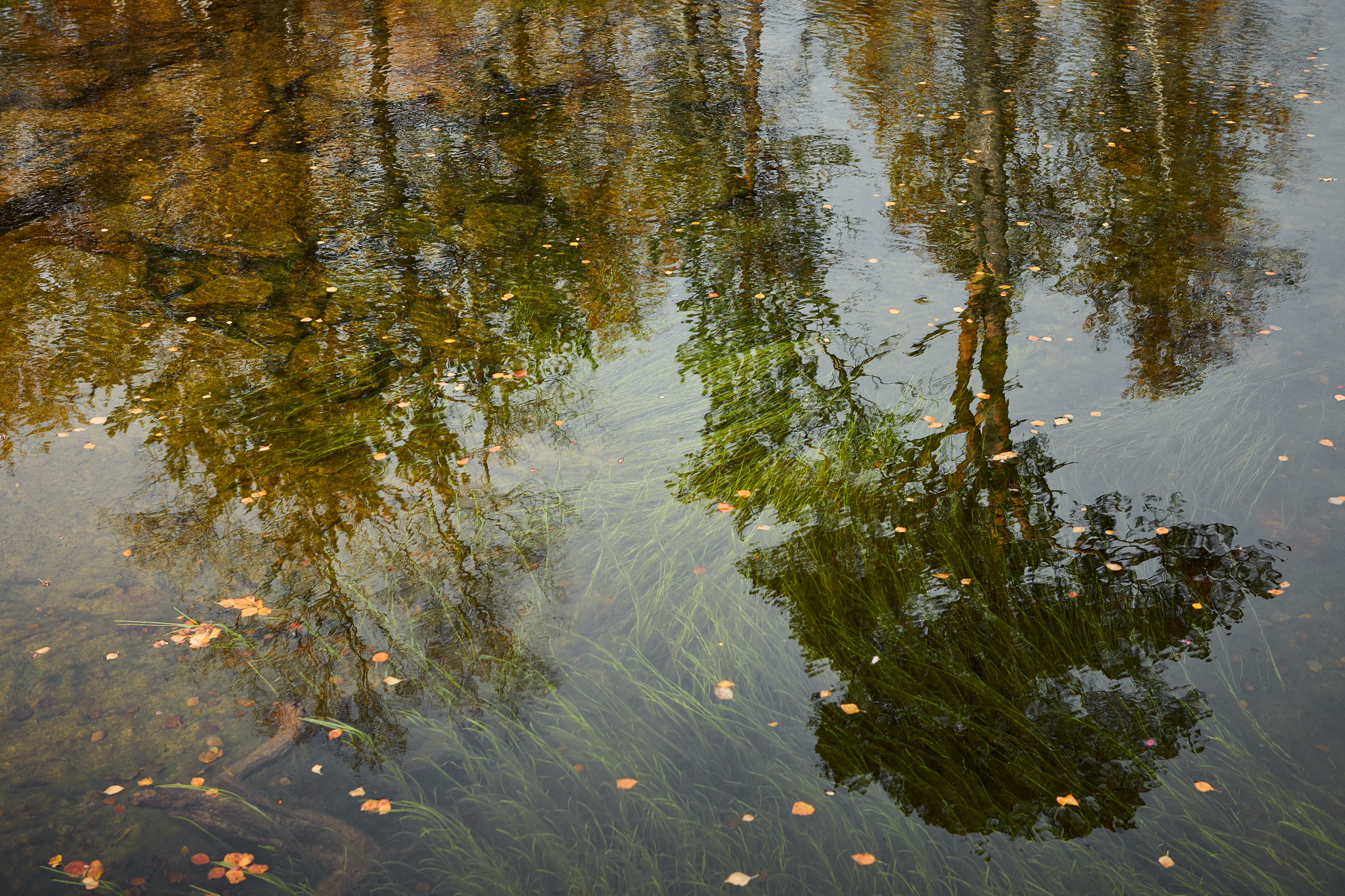 Finnish-Nature-01