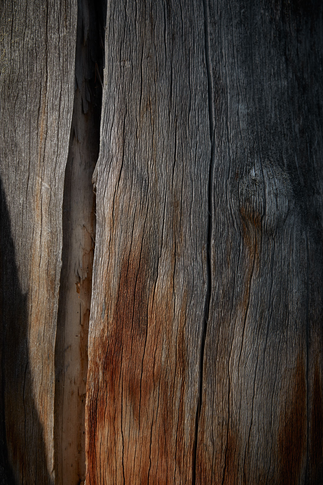 Finnish-Nature-03