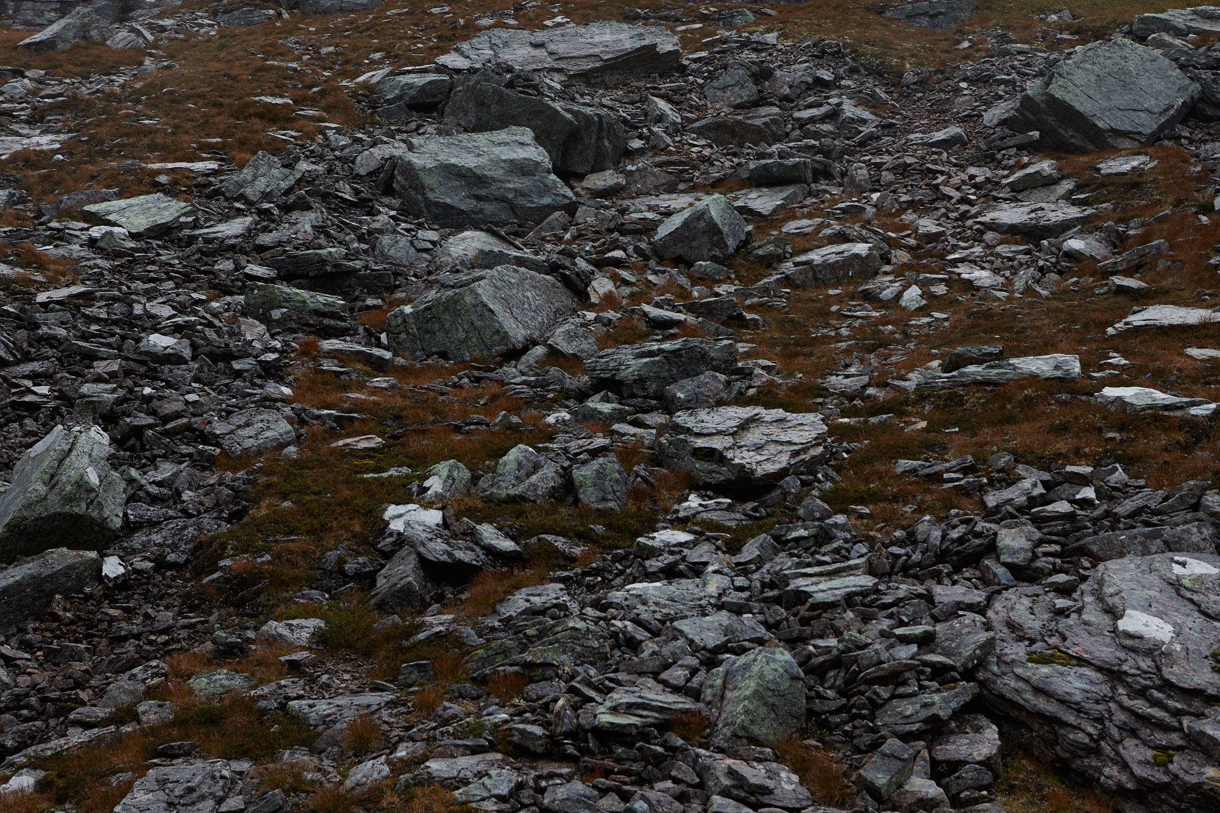 Finnish-Nature-04