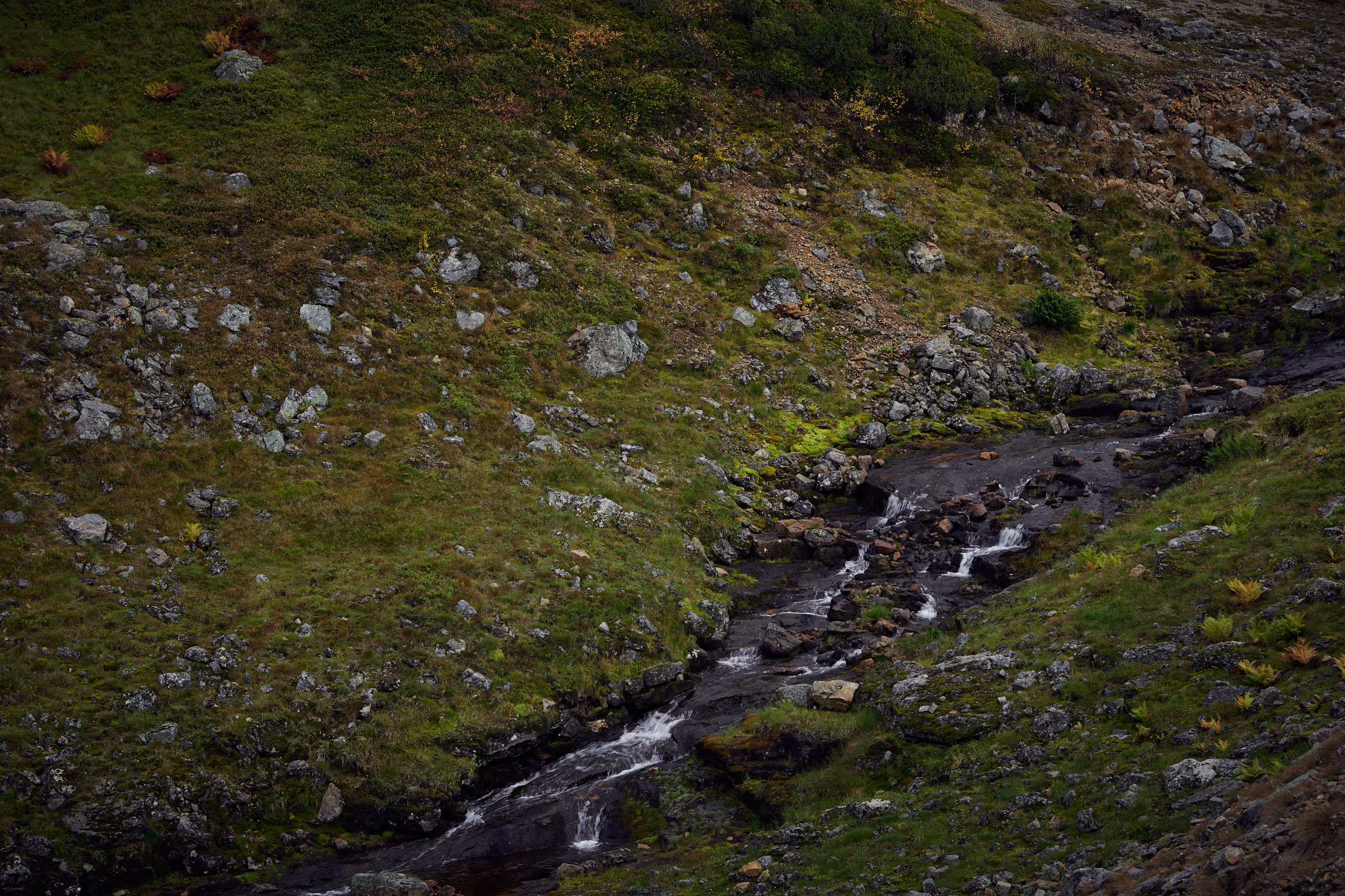 Finnish-Nature-06