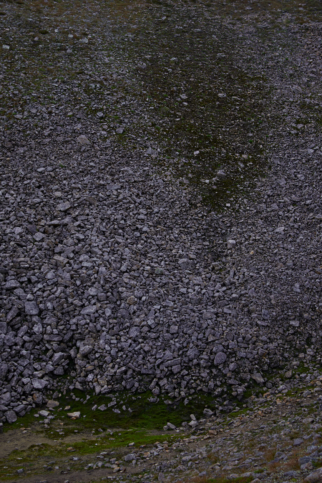 Finnish-Nature-08