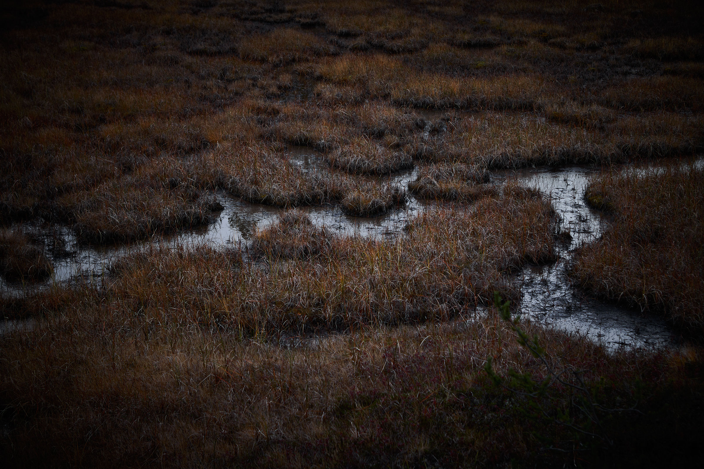 Finnish-Nature-11