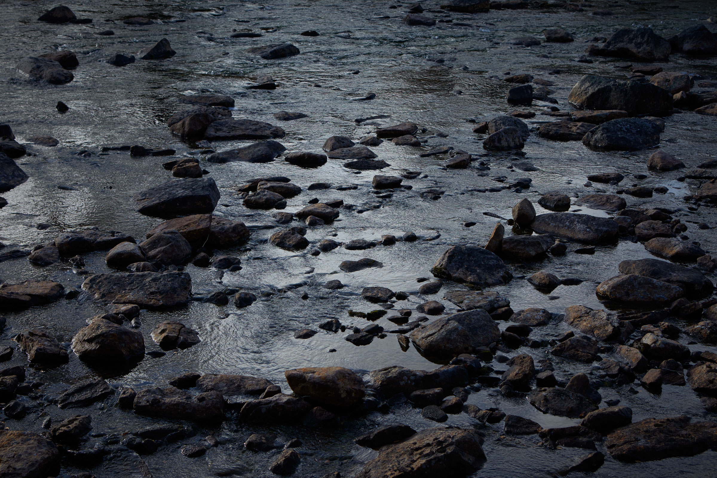 Finnish-Nature-12